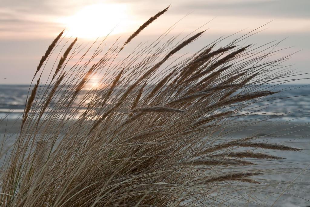 Cuxland-Ferienpark Nordseebad Dorum Kültér fotó